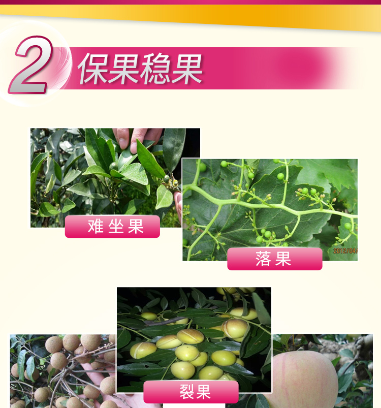 微补全力_06_01.jpg