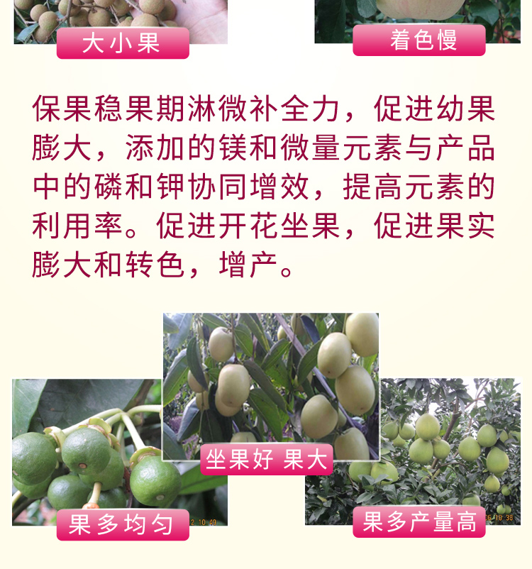 微补全力_06_02.jpg