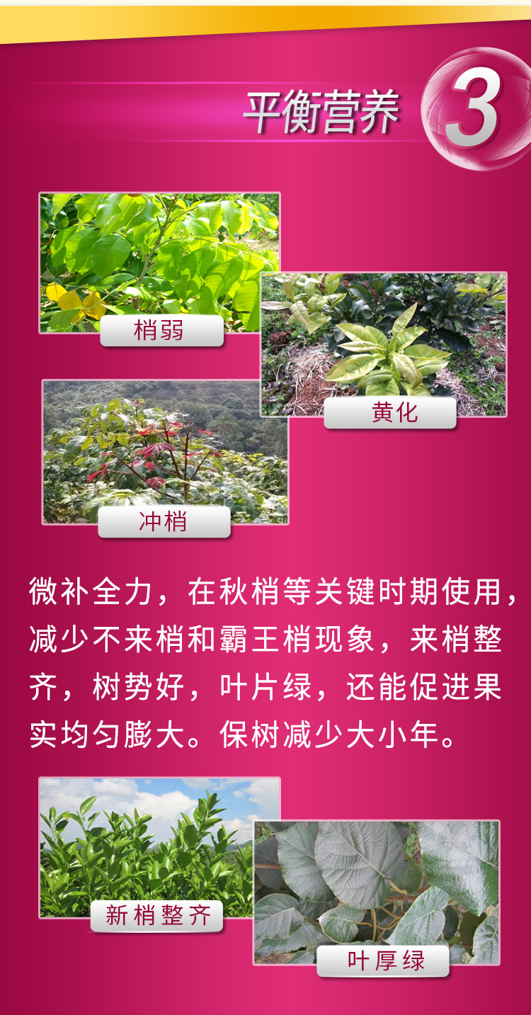微补全力_07.jpg
