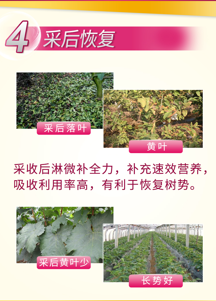 微补全力_08.jpg