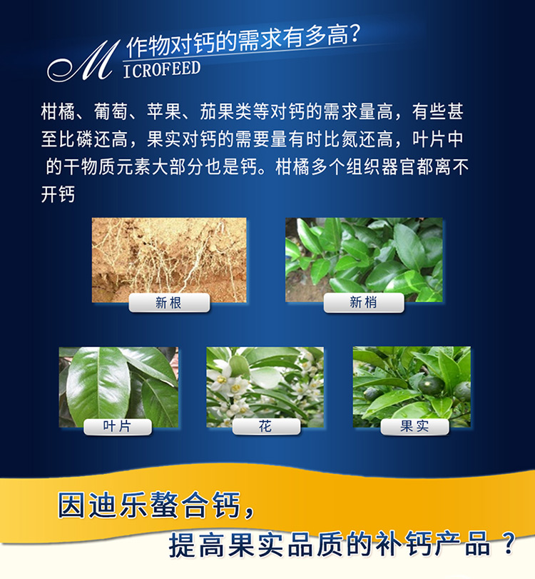 螯合钙电脑版_03.jpg