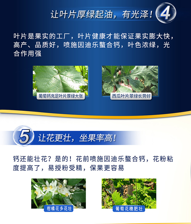 螯合钙电脑版_07.jpg