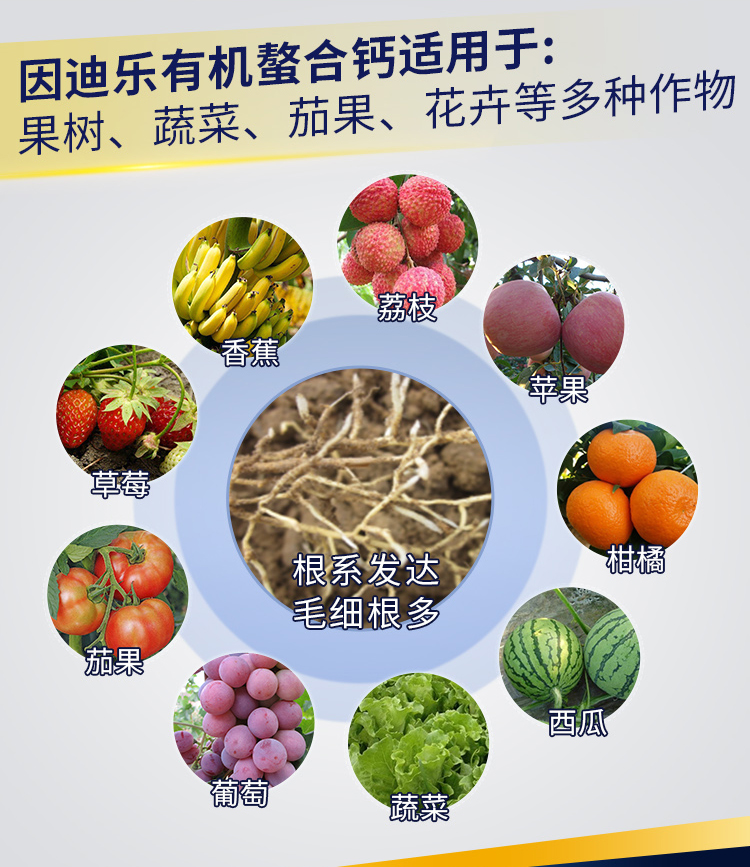因迪乐有机螯合钙_02.jpg