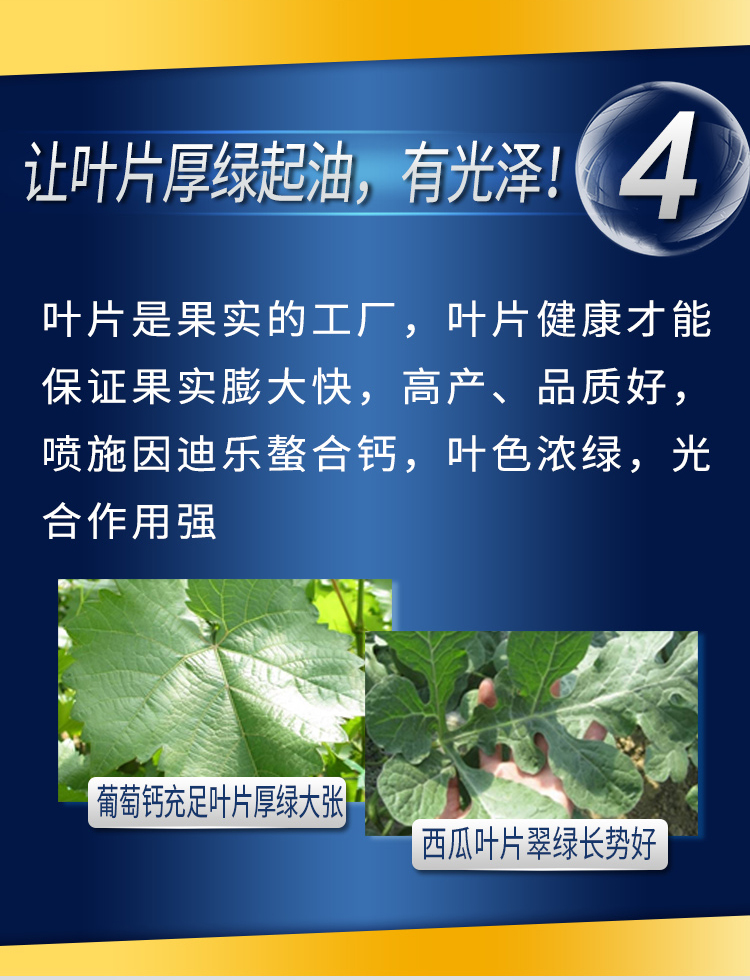 因迪乐有机螯合钙_07.jpg