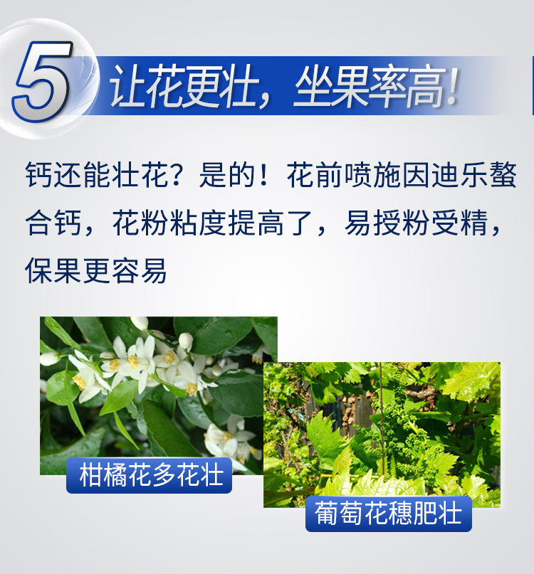 因迪乐有机螯合钙_08.jpg