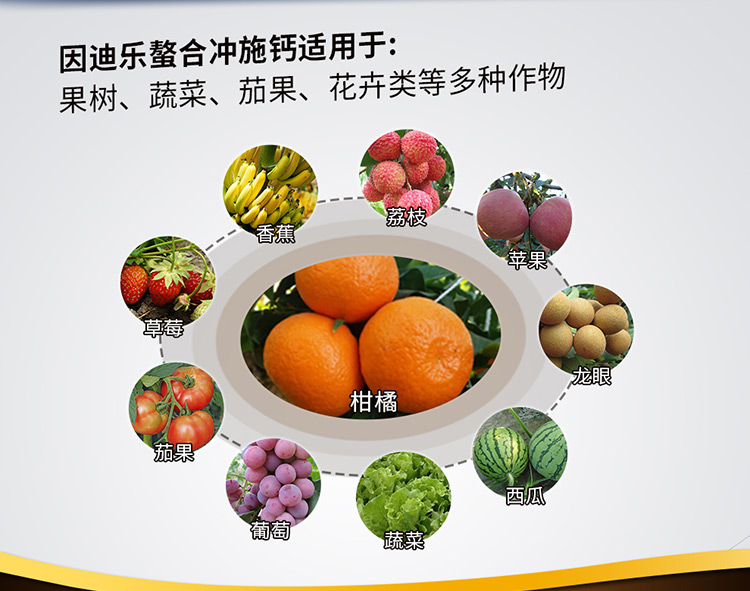 14因迪乐螯合冲施钙【电脑版】_02.jpg