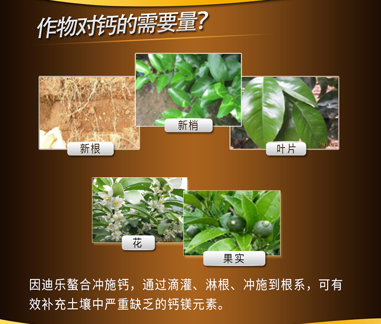 14因迪乐螯合冲施钙【电脑版】_03.jpg