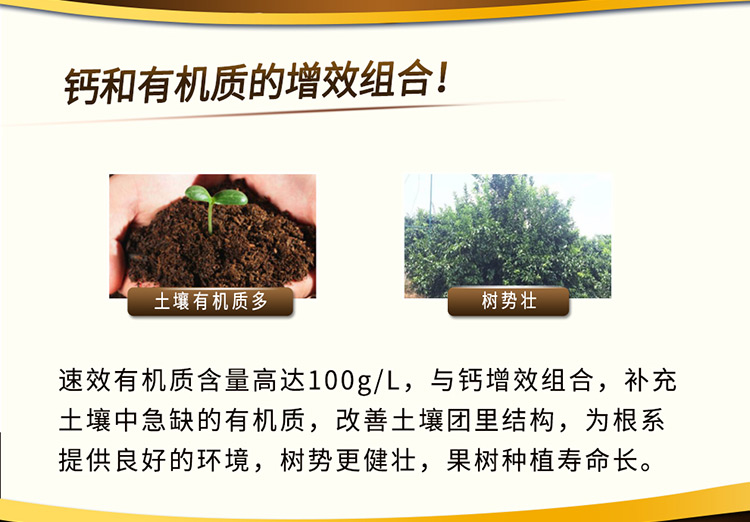 14因迪乐螯合冲施钙【电脑版】_04.jpg