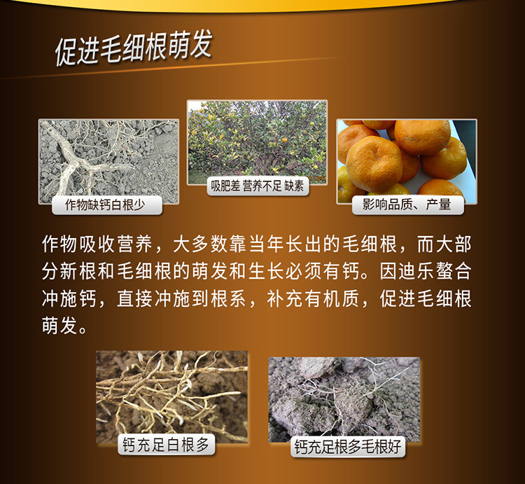 14因迪乐螯合冲施钙【电脑版】_05.jpg