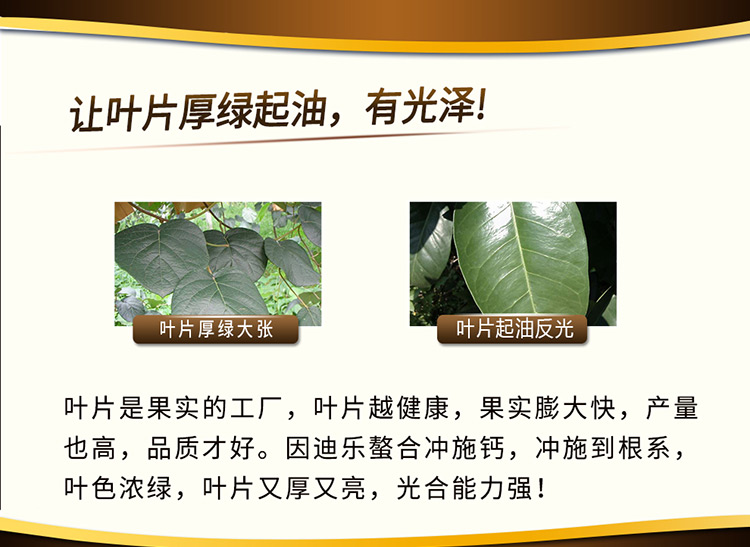 14因迪乐螯合冲施钙【电脑版】_06.jpg