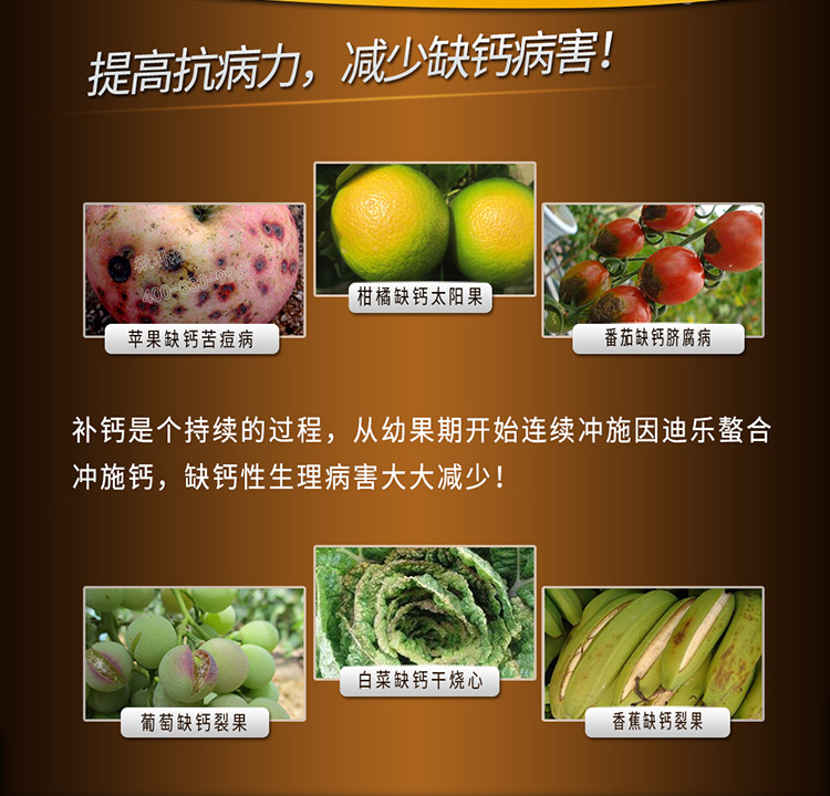 14因迪乐螯合冲施钙【电脑版】_09.jpg