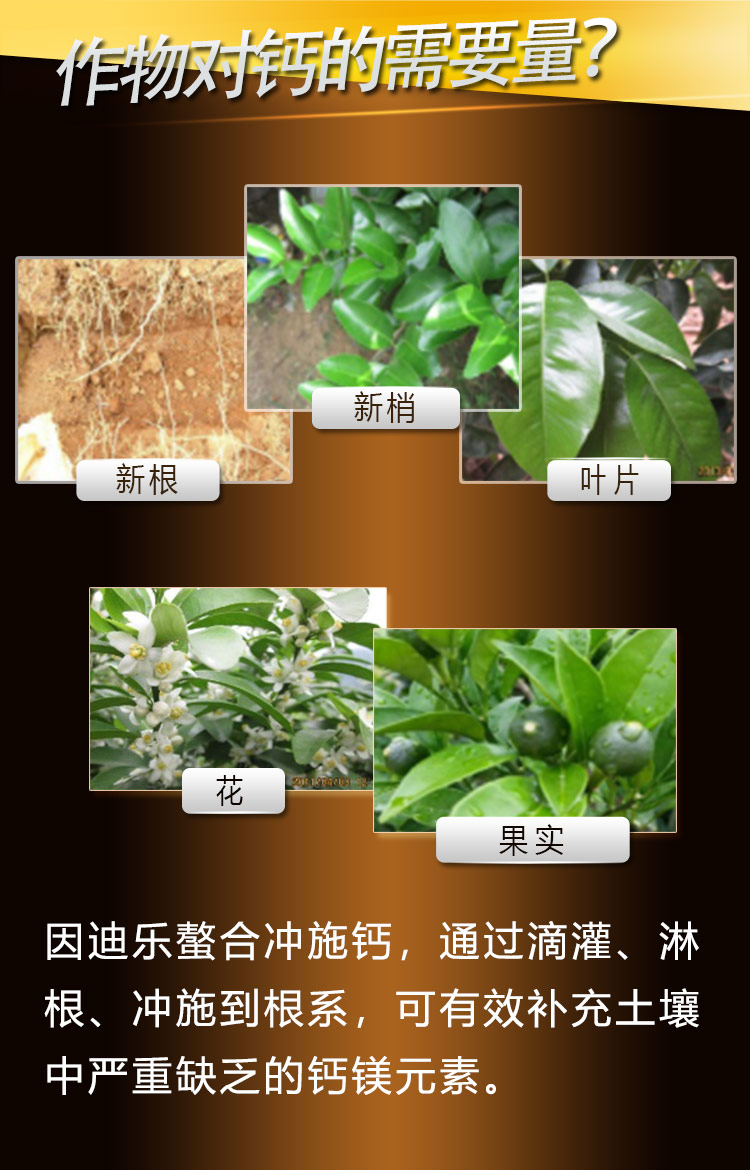 14因迪乐螯合冲施钙【手机版】_04.jpg
