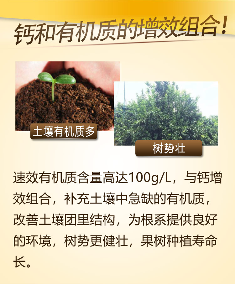 14因迪乐螯合冲施钙【手机版】_05.jpg