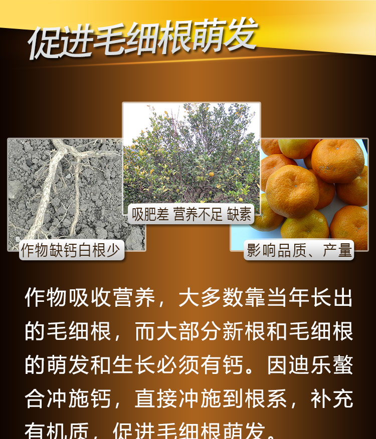 14因迪乐螯合冲施钙【手机版】_06.jpg