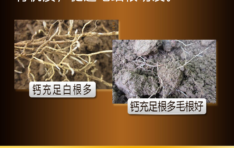 14因迪乐螯合冲施钙【手机版】_07.jpg