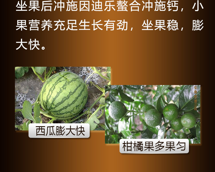 14因迪乐螯合冲施钙【手机版】_10.jpg