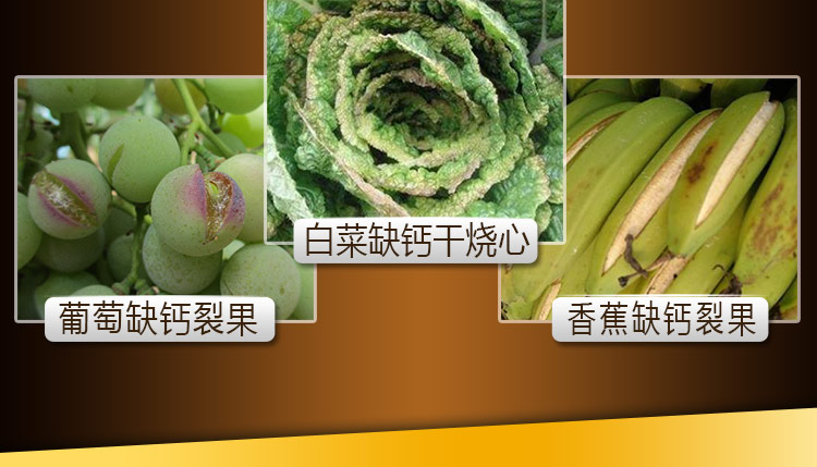 14因迪乐螯合冲施钙【手机版】_13.jpg