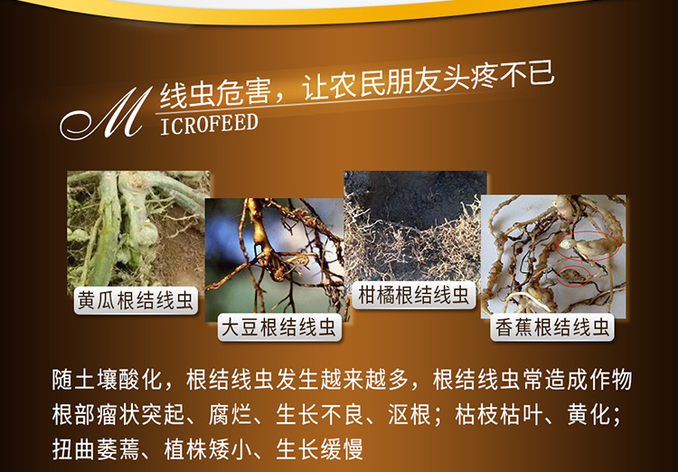 22BioMicro线虫防控系列【电脑版】_03.jpg