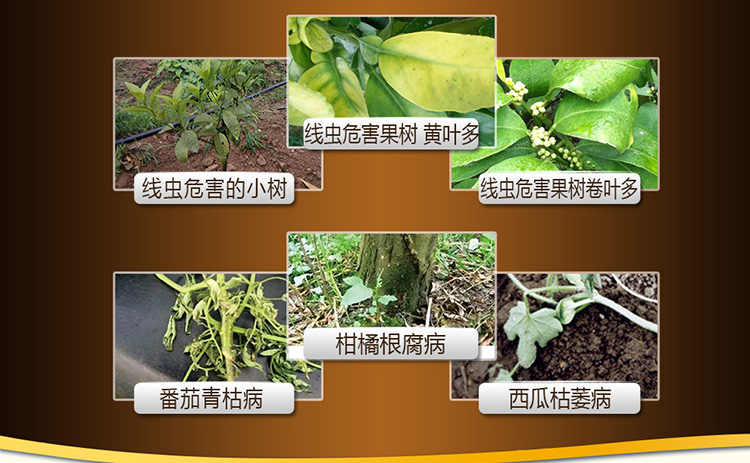 22BioMicro线虫防控系列【电脑版】_04.jpg