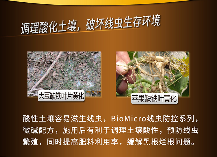 22BioMicro线虫防控系列【电脑版】_06.jpg