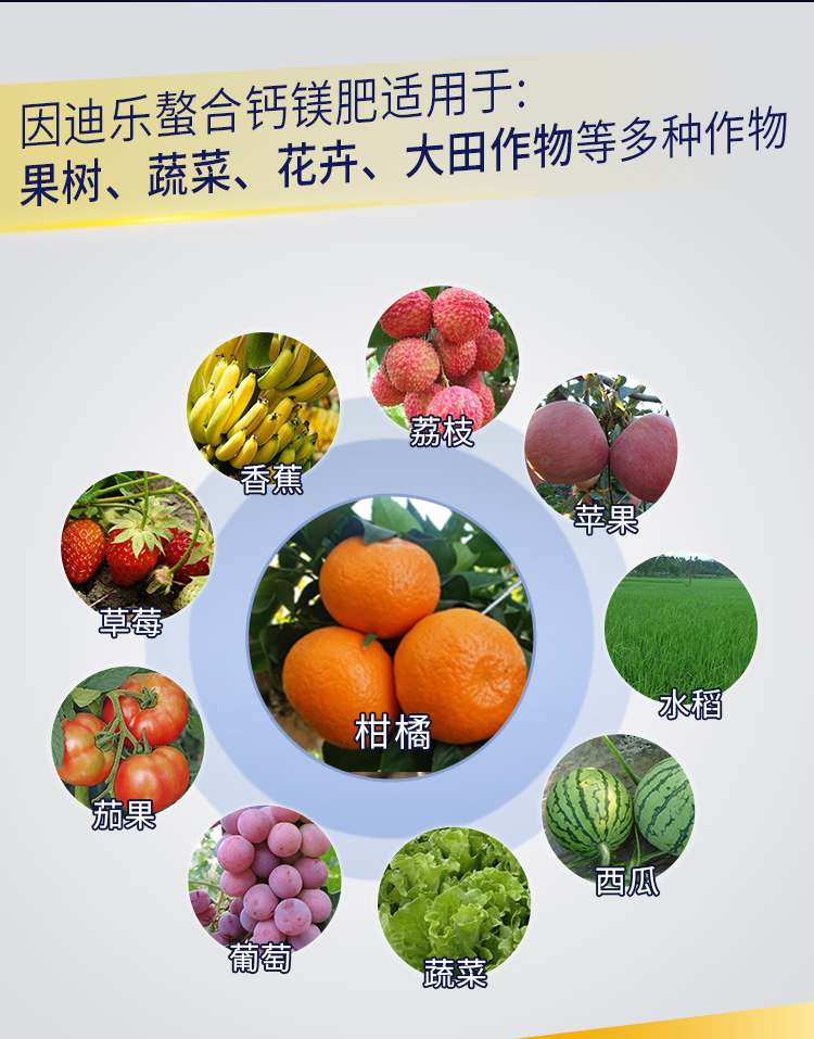 18因迪乐螯合钙镁肥【手机版】_03.jpg