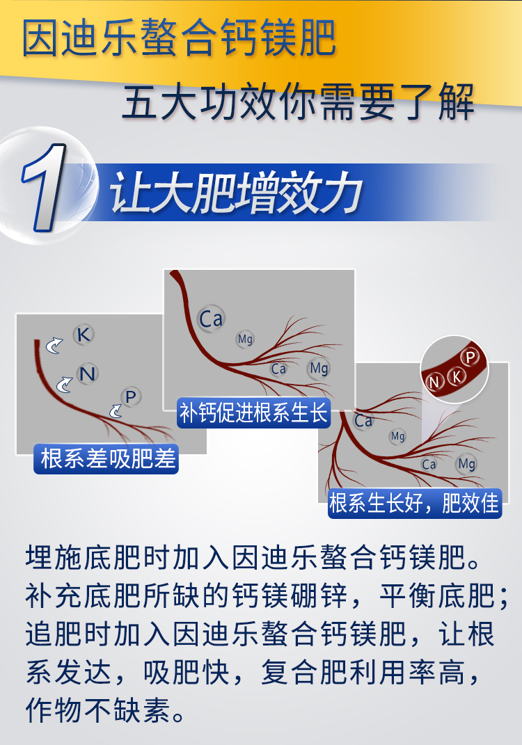 18因迪乐螯合钙镁肥【手机版】_06.jpg