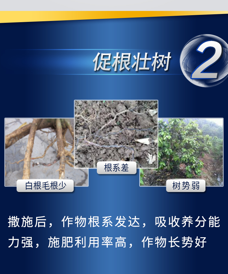 18因迪乐螯合钙镁肥【手机版】_07.jpg