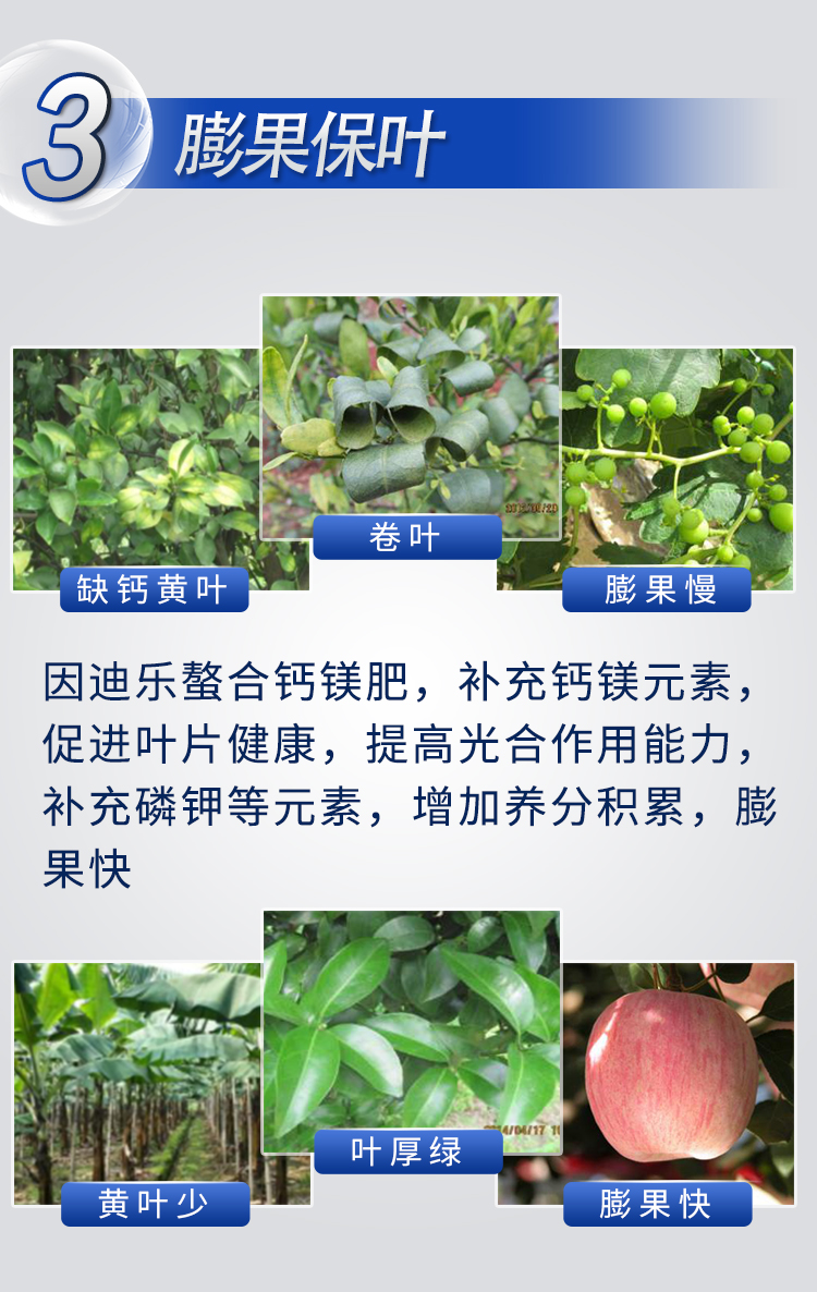 18因迪乐螯合钙镁肥【手机版】_09.jpg