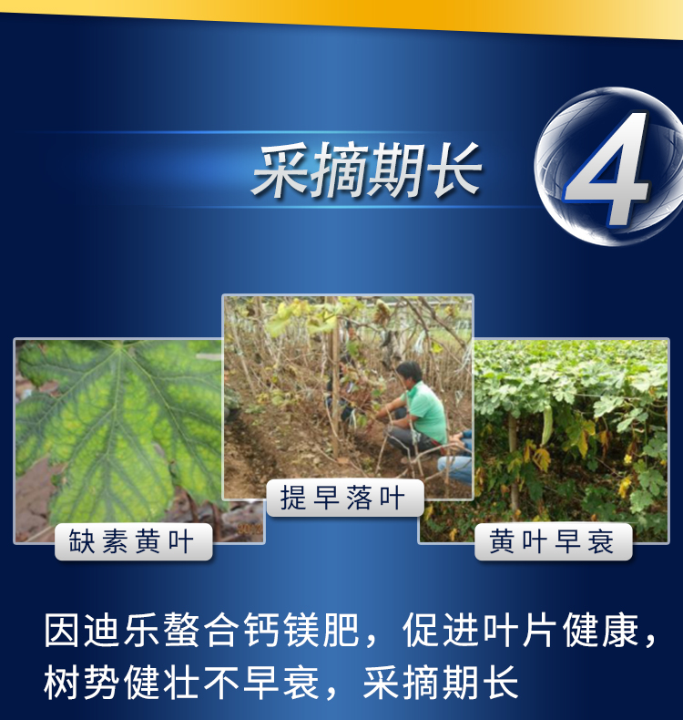 18因迪乐螯合钙镁肥【手机版】_10.jpg