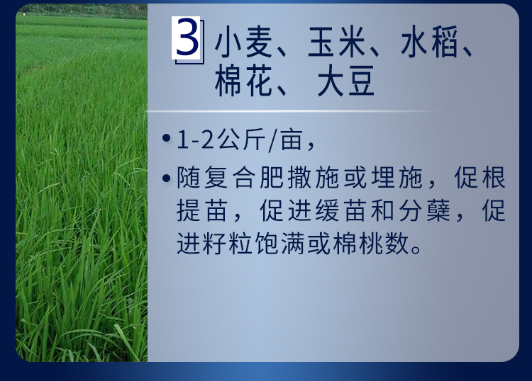 18因迪乐螯合钙镁肥【手机版】_16.jpg