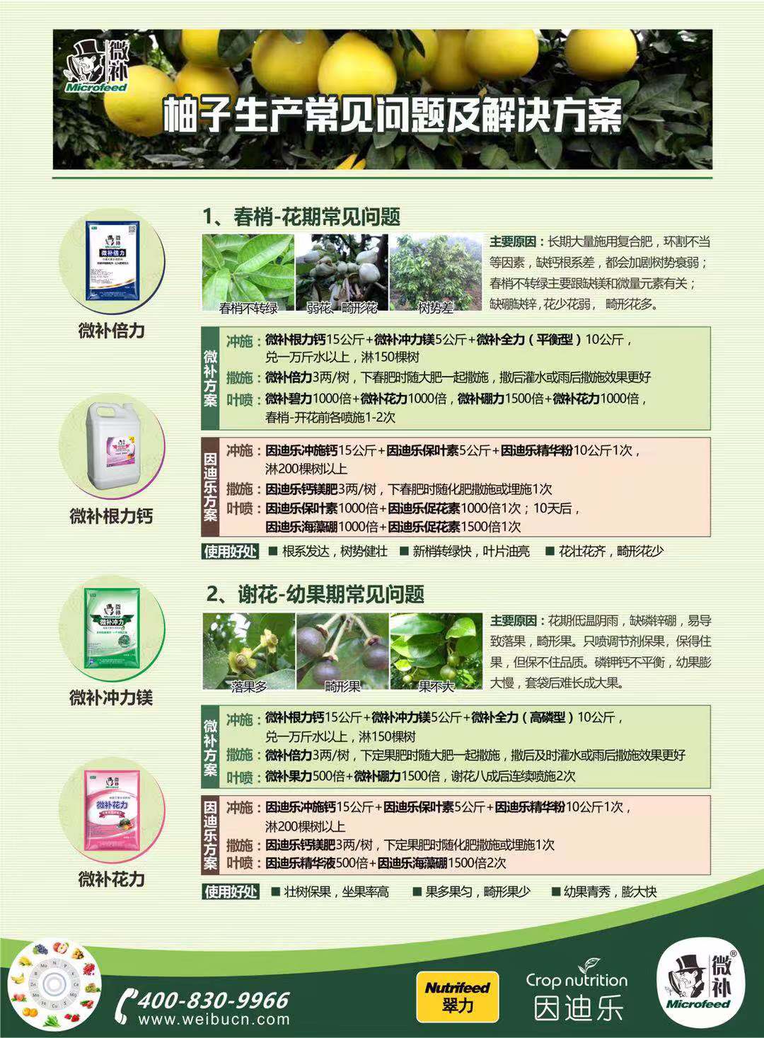 蜜柚1.jpg