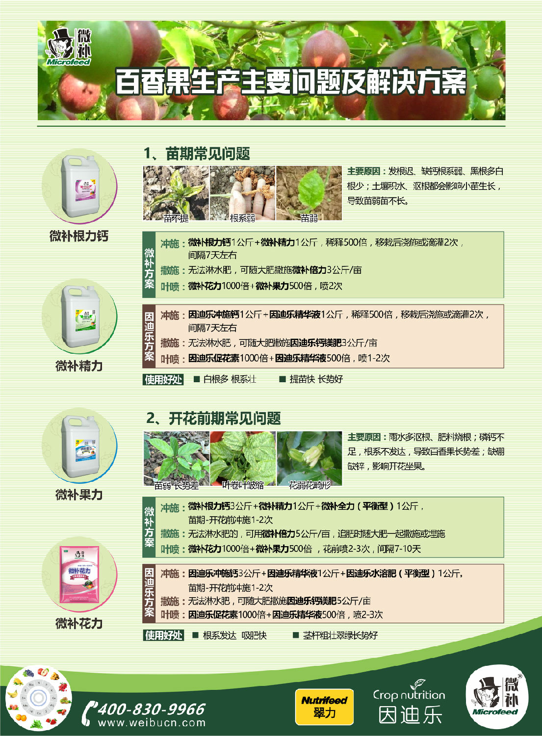 百香果A4新1.jpg