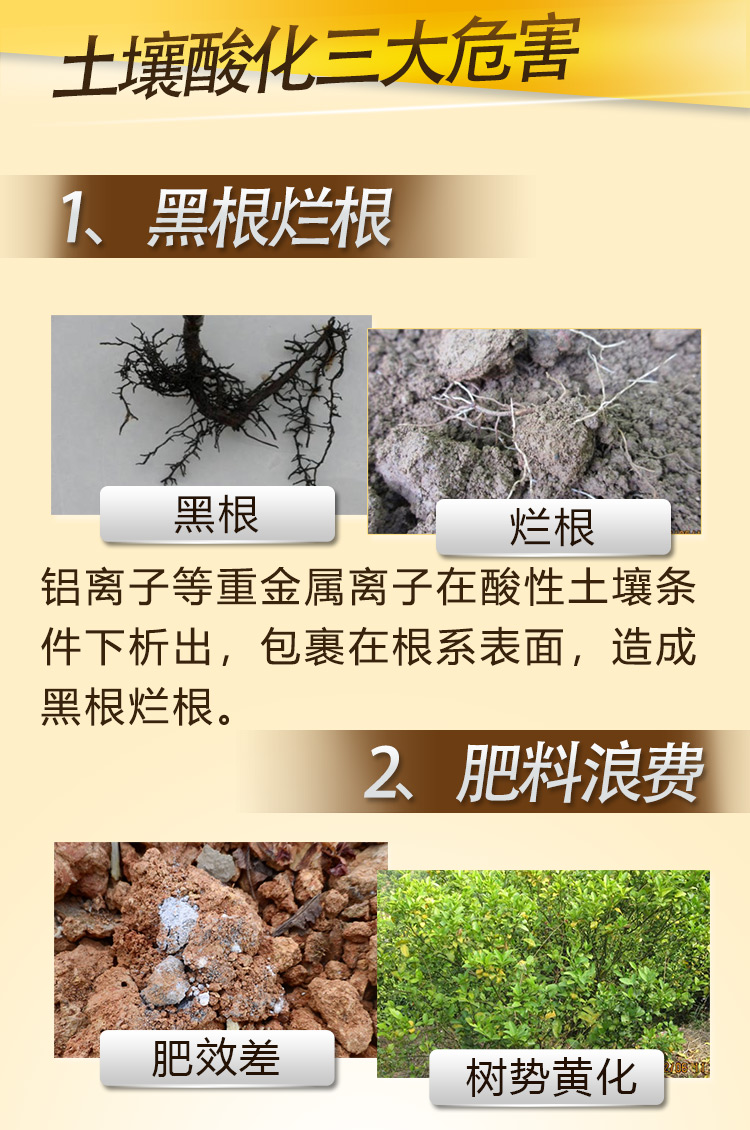 17因迪乐酸性土壤调理液【手机版】_03.jpg