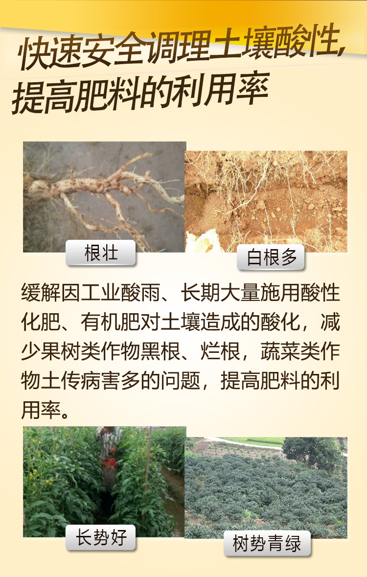 17因迪乐酸性土壤调理液【手机版】_06.jpg