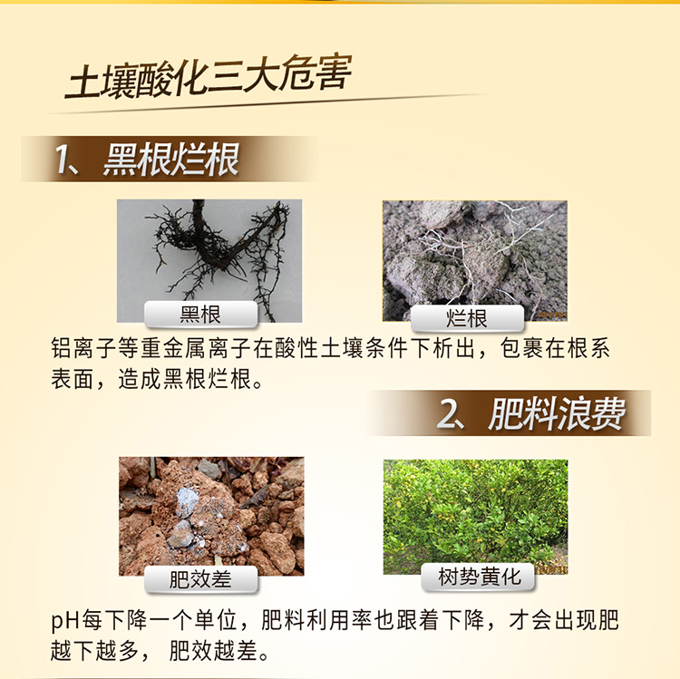 17因迪乐酸性土壤调理液【电脑版】_02.jpg