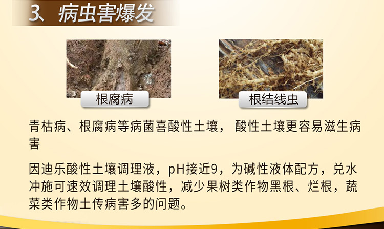17因迪乐酸性土壤调理液【电脑版】_03.jpg