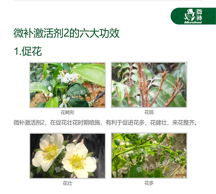 微补激活剂_03.jpg