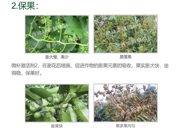 微补激活剂_04.jpg