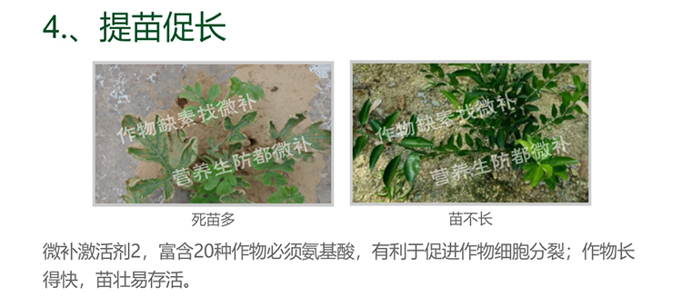 微补激活剂_06.jpg