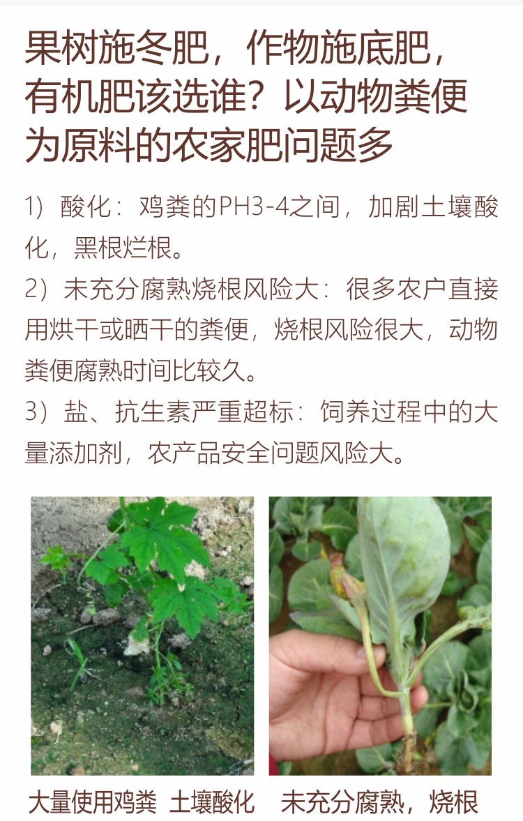 因迪乐有机肥750_02.jpg