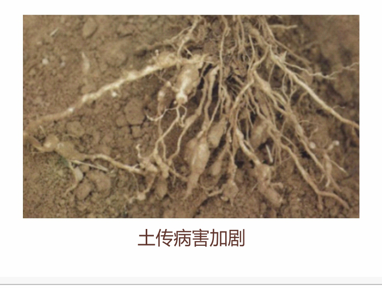 因迪乐有机肥750_03.jpg