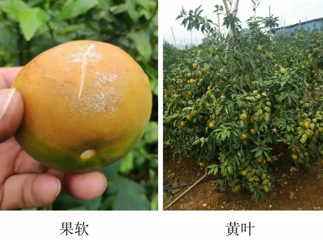 微信图片_20191118171501.jpg