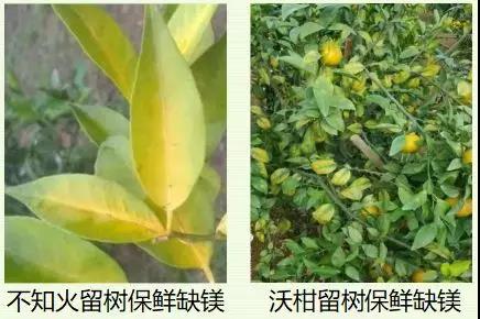 微信图片_20200103143048.jpg