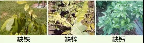 微信图片_20200103143056.jpg