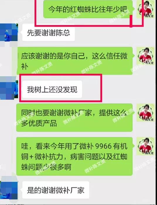 聊天记录