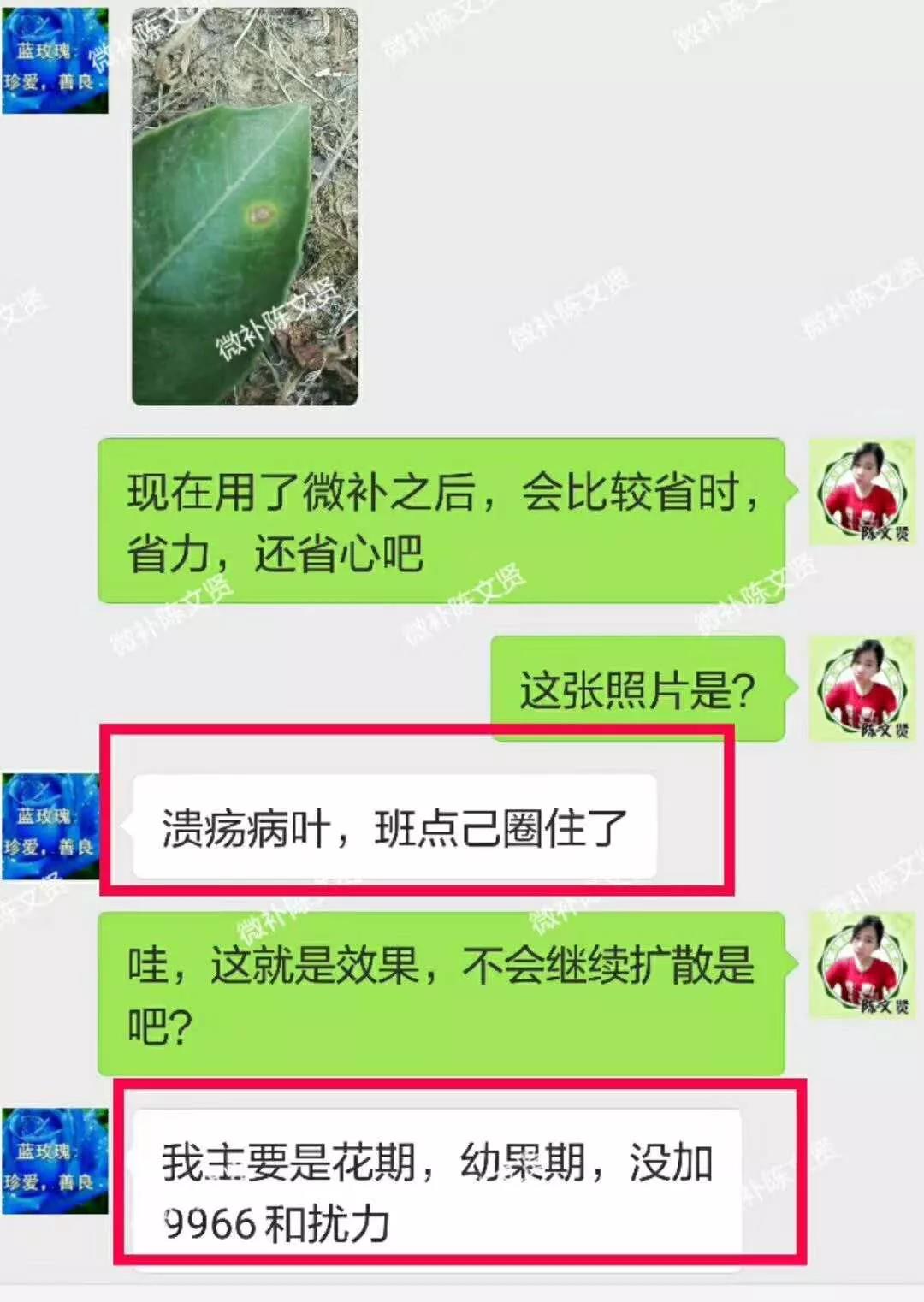聊天记录