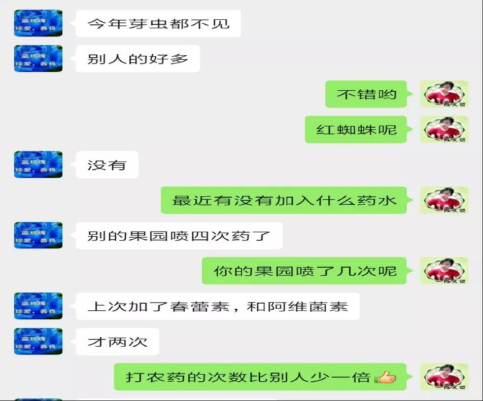 聊天记录