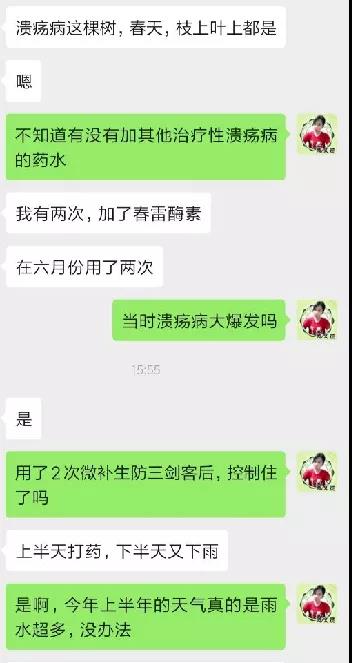 聊天记录