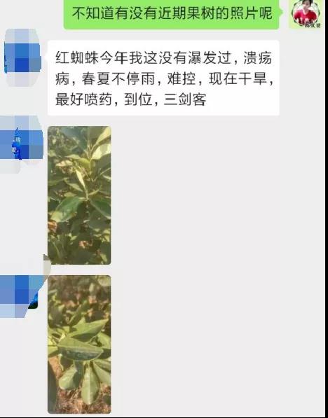 聊天记录