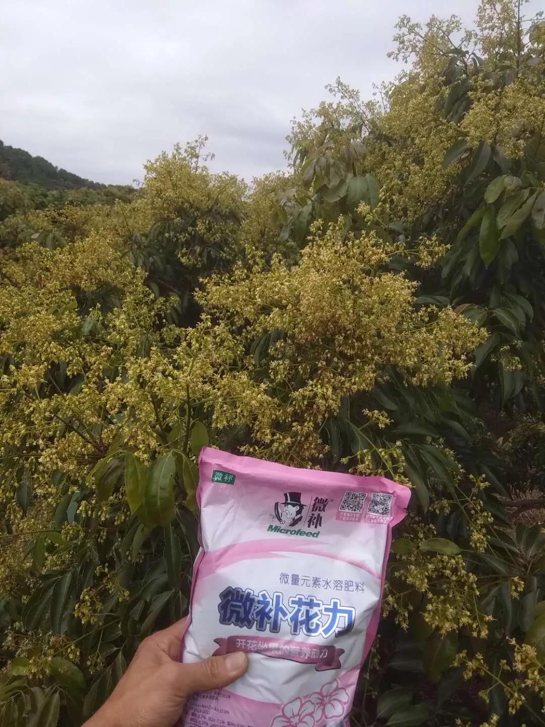 微补花力